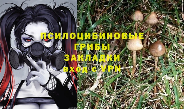 мяу мяу мука Вязьма