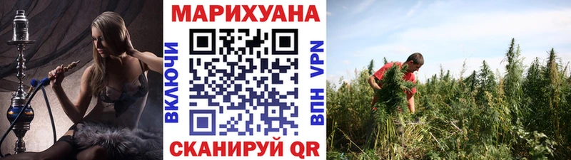 где можно купить Лихославль Бошки Шишки планчик